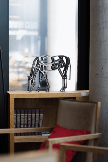 KŮŇ NA PASTVĚ, JAKUB FLEJŠAR, 2020