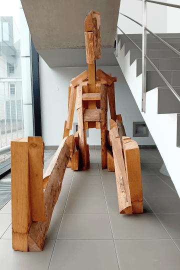 FIGURA, JAKUB FLEJŠAR, 2012